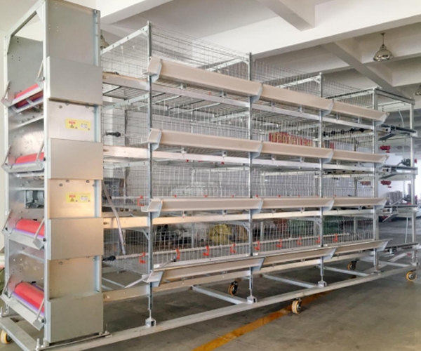 Single cage type D4G.12501000 for white feather broiler cage breeding equipment
